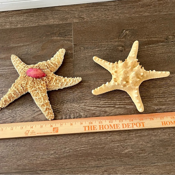 Decorative Starfish Set with Pink Accent - Picture 4 of 13